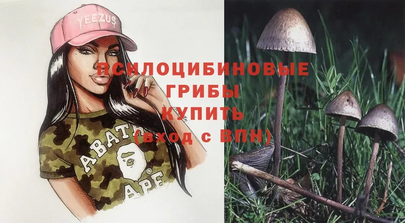 Галлюциногенные грибы MAGIC MUSHROOMS  Рыбинск 